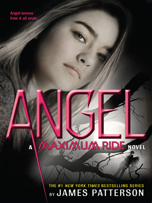 Title details for Angel by James Patterson - Wait list